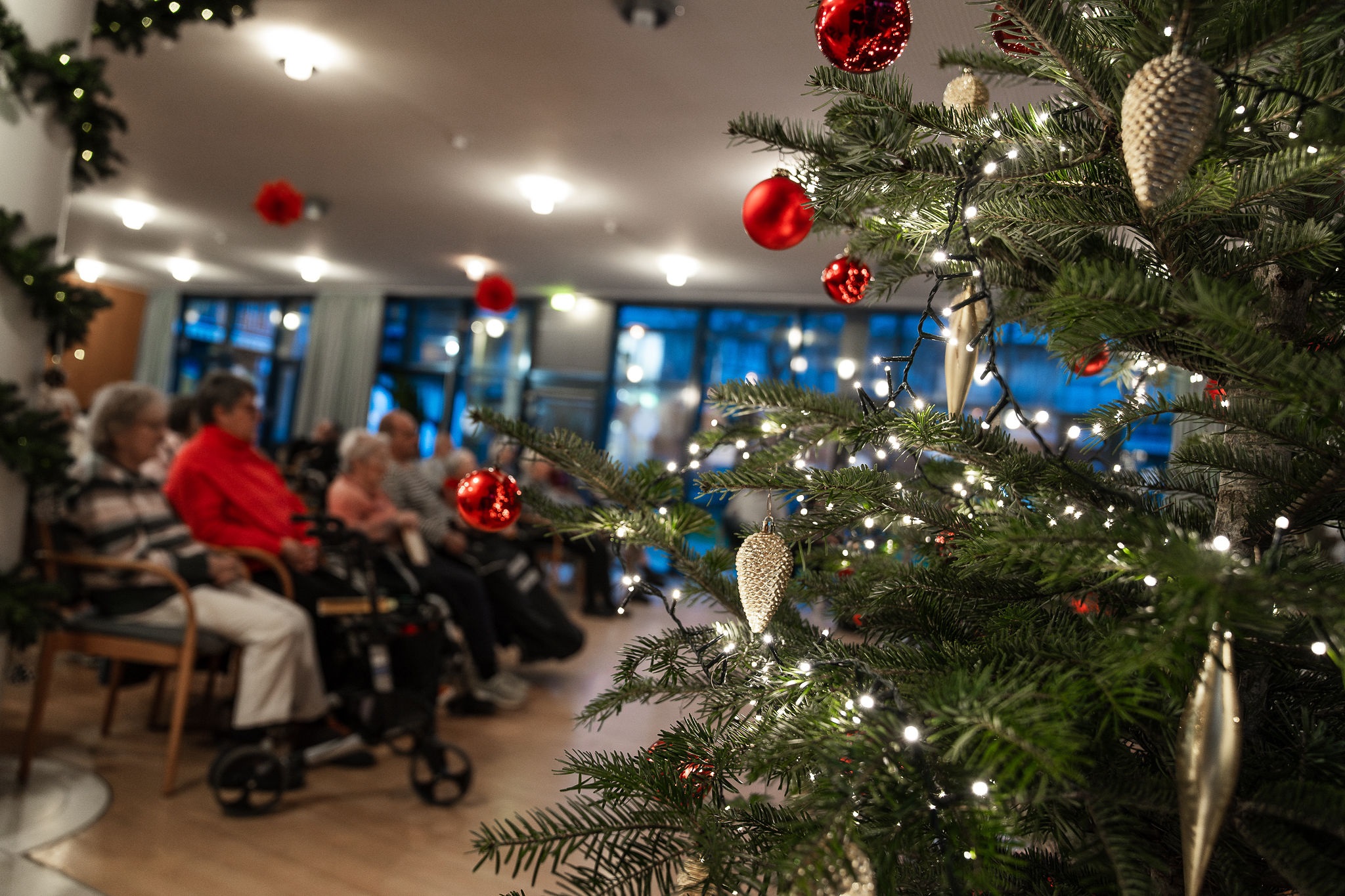 AWOWEINACHTENSZD202534